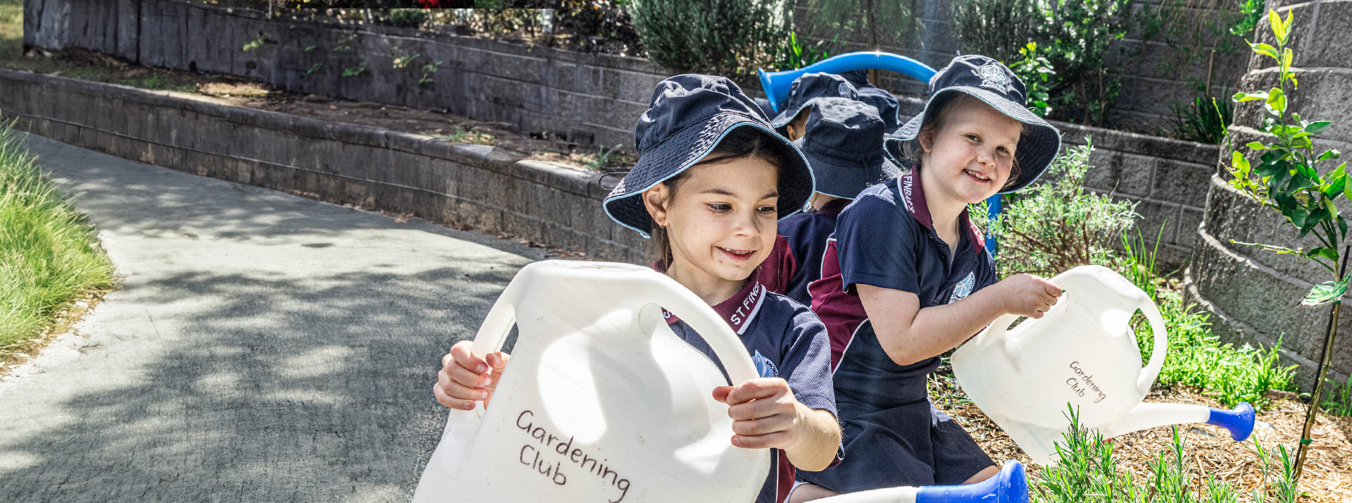 AN IDEAL ENVIRONMENT TO GROW