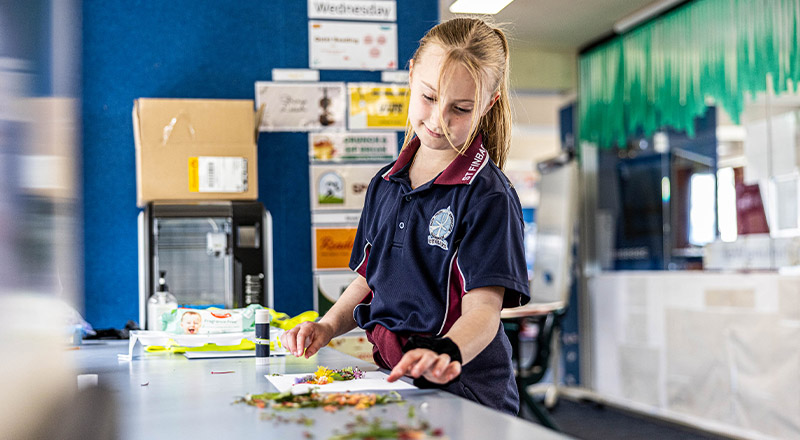 Student learning at St Finbar’s Catholic Primary Glenbrook