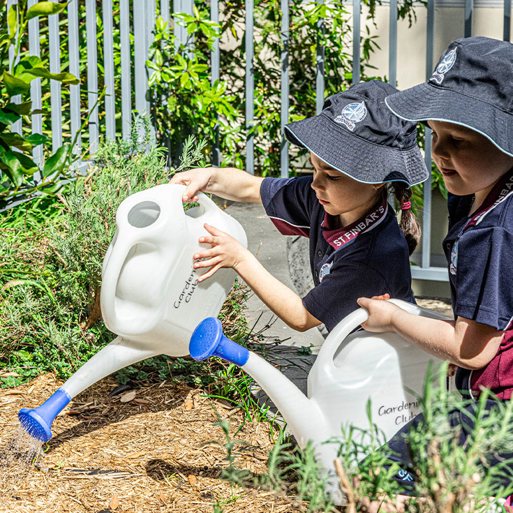 Students at St Finbar’s Catholic Primary Glenbrook watering plants