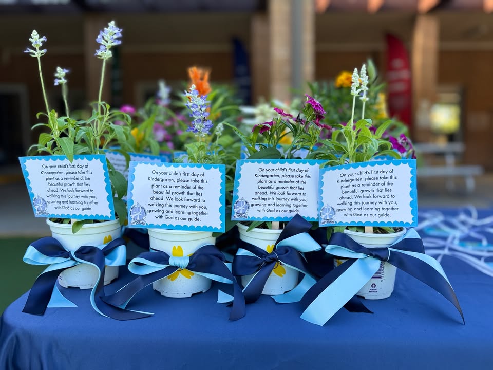 723972669739127_1452075510262169-1